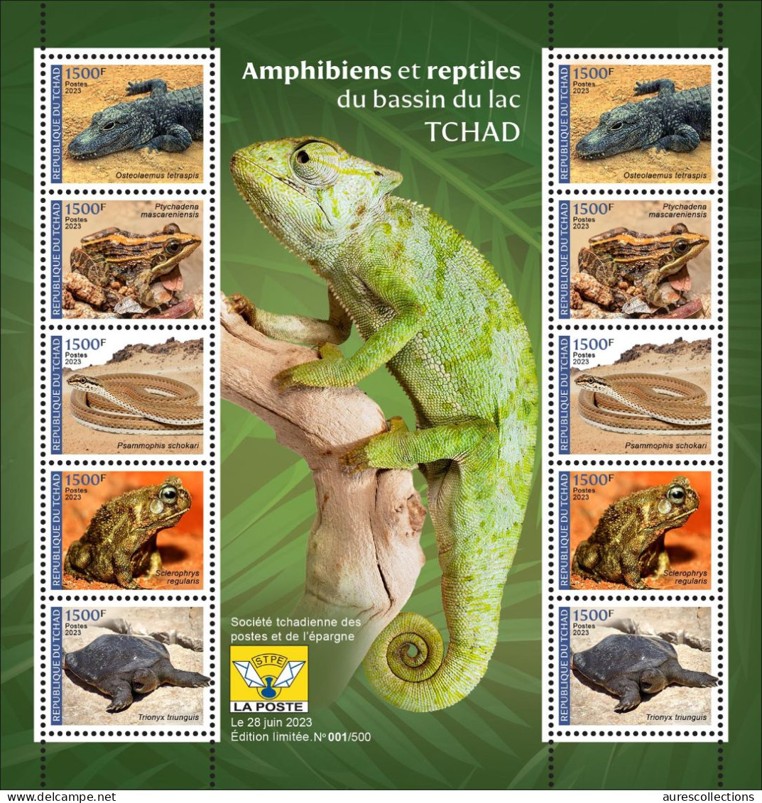 CHAD TCHAD 2023 - SHEET 10V - AMPHIBIANS & REPTILES - CHAMELEON FROG FROGS TOAD SNAKES TURTLE TURTLES CROCODILE - MNH - Serpents