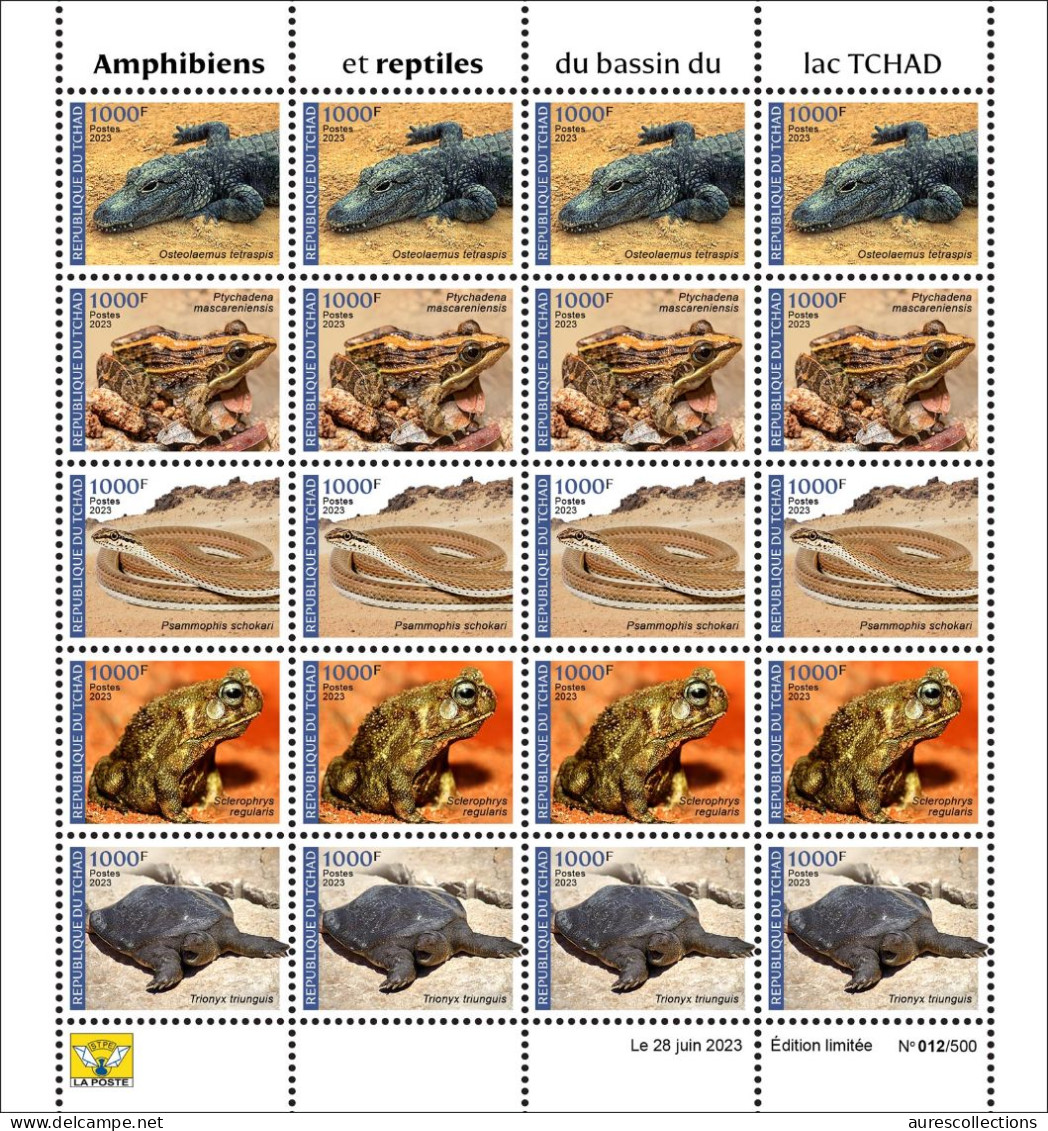 CHAD TCHAD 2023 - SHEET 20V - AMPHIBIANS & REPTILES - FROG FROGS SNAKES TURTLE TURTLES CROCODILE - MNH - Serpents