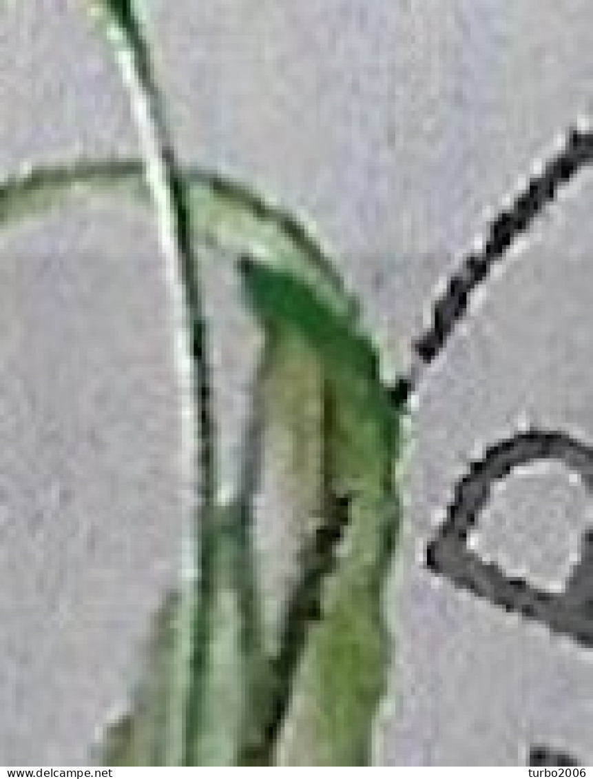 Plaatfout Groen Puntje Naast De Kruising Steel En Blad In 1960 Zomerzegels Tulp 4 + 4 Ct. NVPH 738 PM 4 Gestempeld - Variétés Et Curiosités