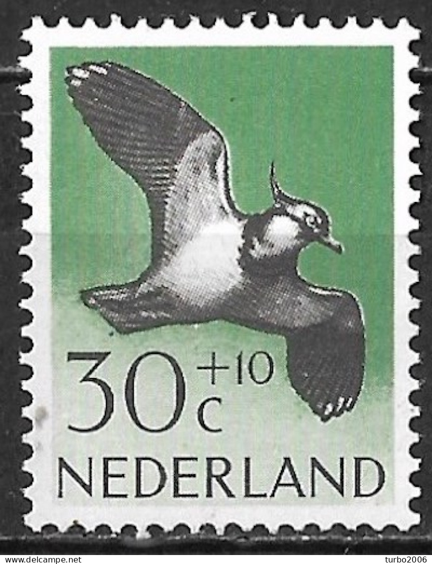 Plaatfout Wit Puntje Onder De Buik In 1961 Zomerzegels Vogels 30 + 10 Ct NVPH 756 PM 3 Postfris - Variétés Et Curiosités