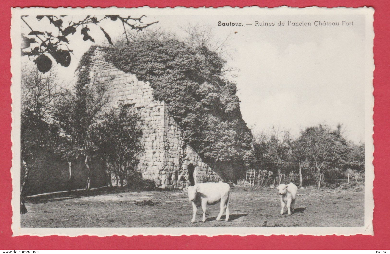 Sautour - Ruines De L'ancien Château-Fort ... Veaux  ( Voir Verso ) - Philippeville