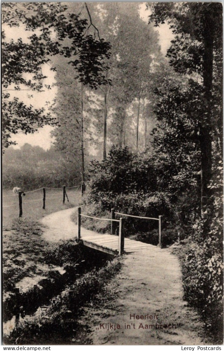 #3145 - Heerlen, Kijkje In 't Aambosch 1913 (LB) - Heerlen