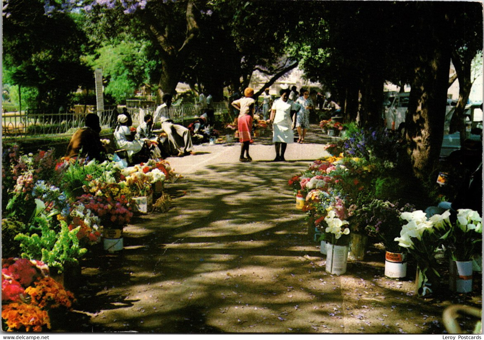 #3163 - Flower Sellers, Zimbabwe - Zimbabwe