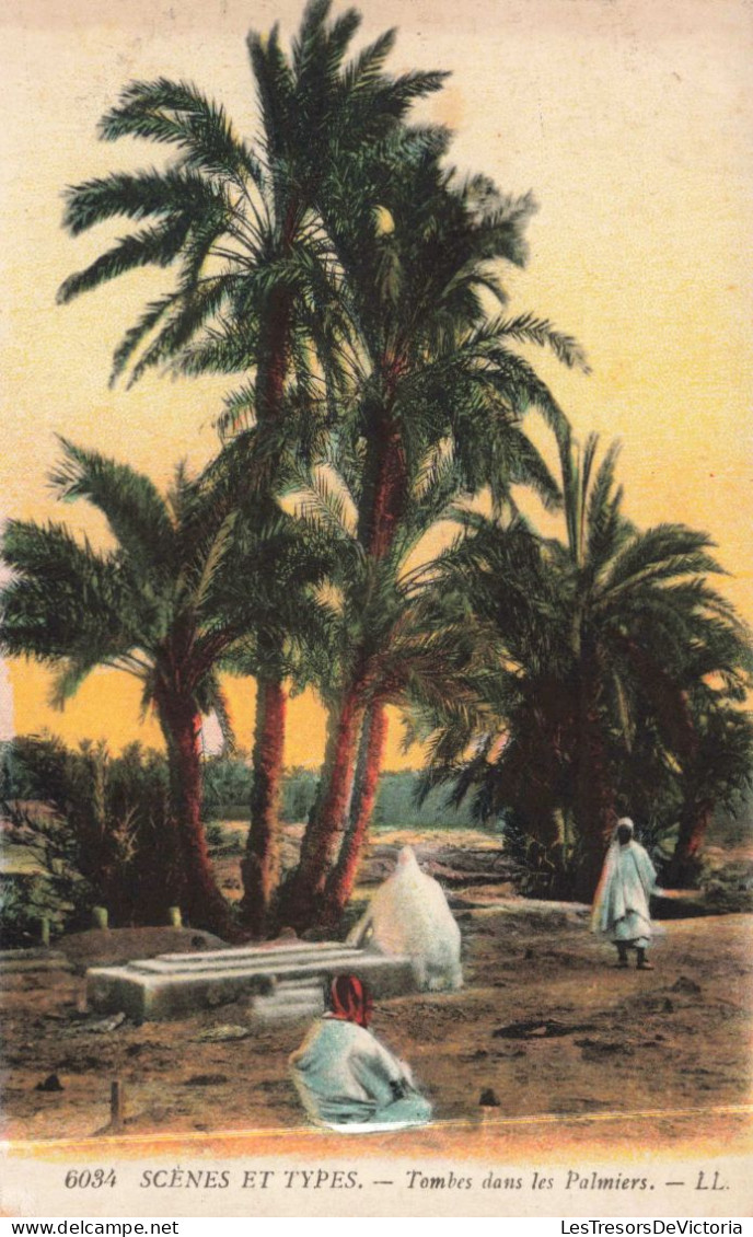 ALGERIE - SCENES ET TYPES - Tombes Dans Les Palmiers - LL - Animé - Colorisé - Carte Postale Ancienne - Scenes