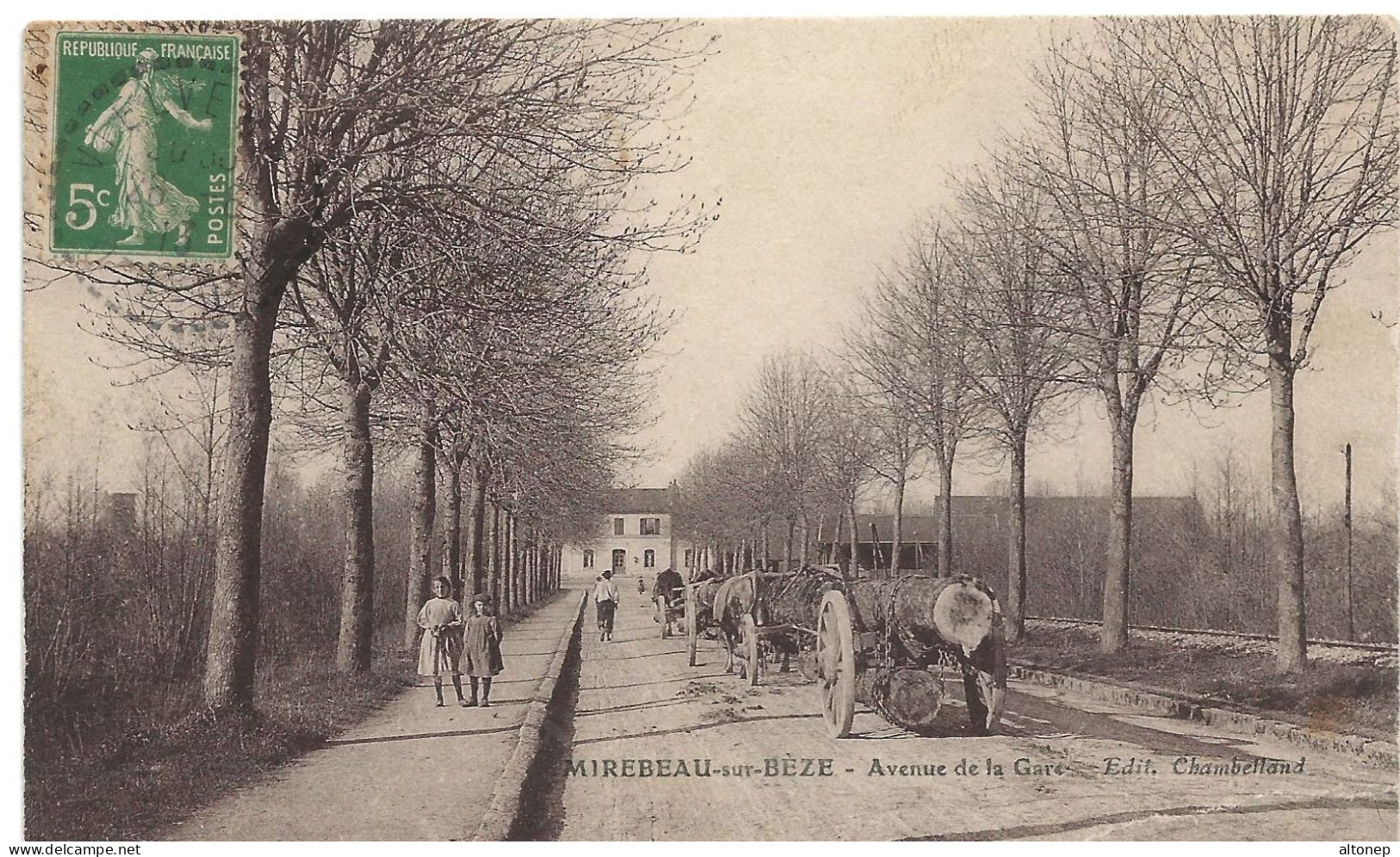 Mirebeau Sur Bèze : Avenue De La Gare (Editeur J. Chambelland) - Mirebeau