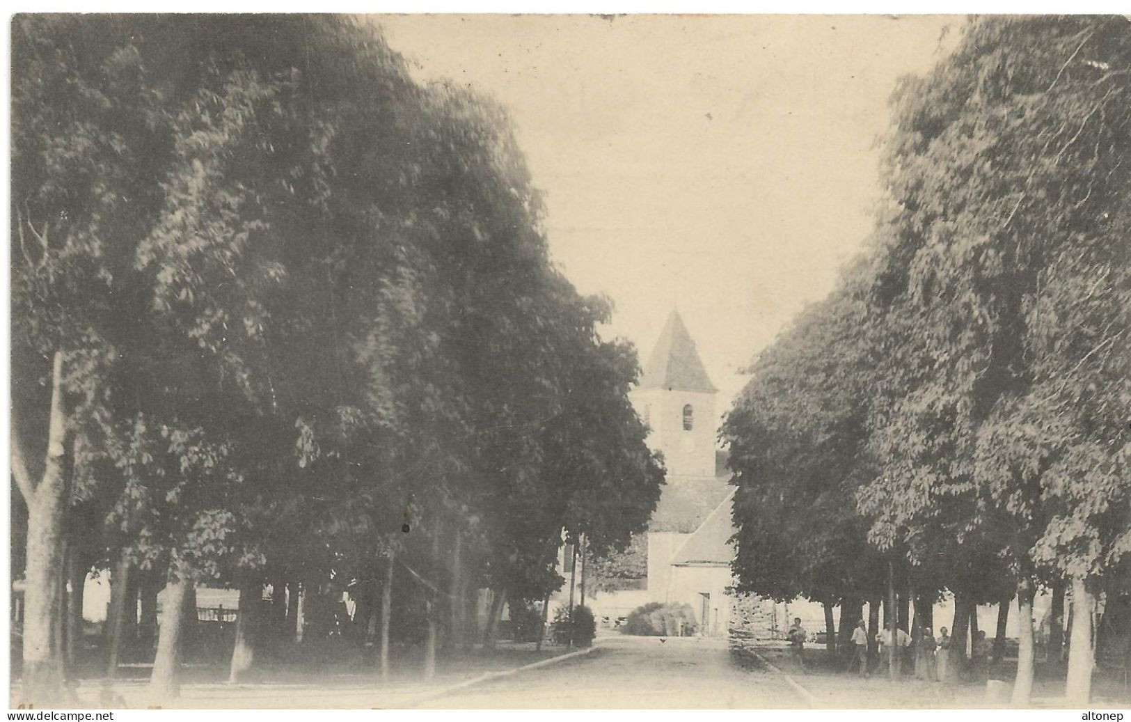 Mirebeau Sur Bèze : Avenue Des Marronniers (Editeur Non Mentionné) - Mirebeau