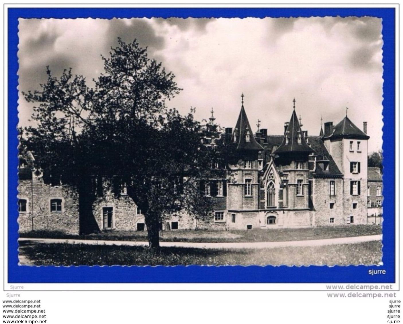 LOVERVAL / Gerpinnes - Le Château Façade Principal - Kasteel - Gerpinnes