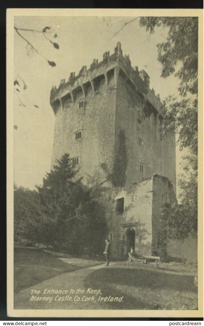 Blarney Castle Co. Cork Ireland Postcard C1920 - Cork