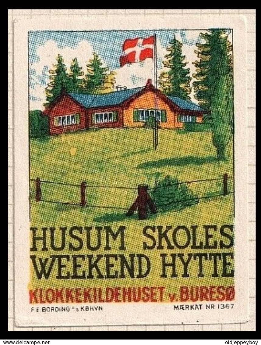 1905 -1945 HUSUM SKOLES WEEKEND HYTTE  Reklamemarke  DENMARK DANMARK Dänemark  Scouting Pfadfinder Scouts VIGNETTE  - Ongebruikt