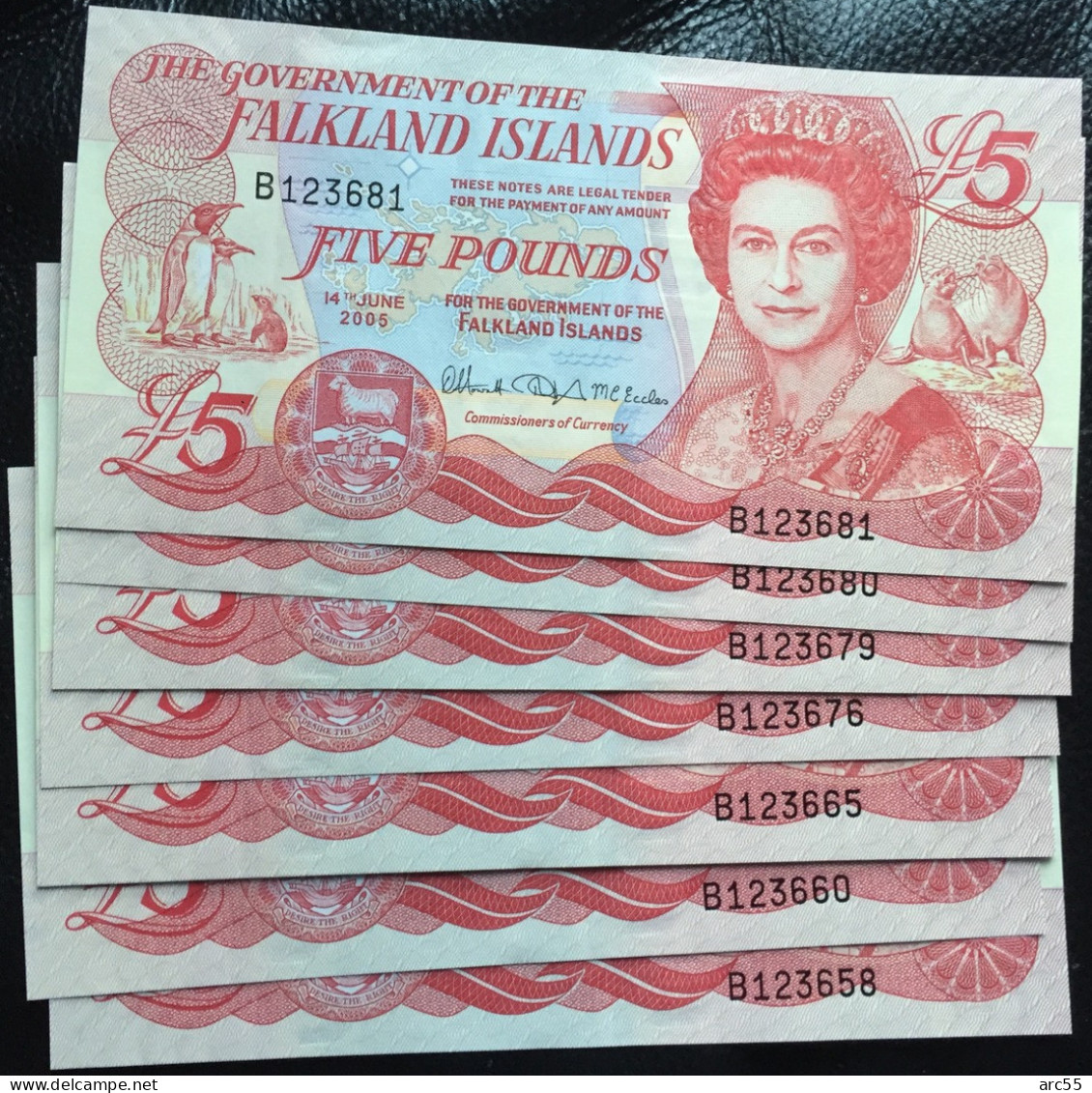Falkland Islands £5 Pound 2005 Banknote BUNC - Isole Falkland