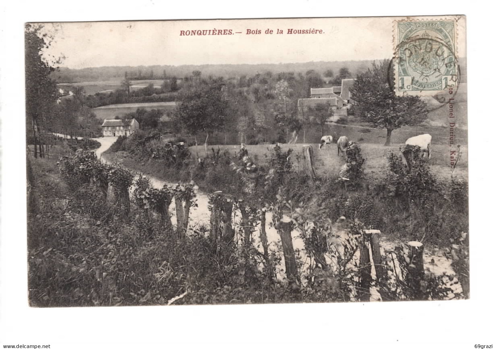 Ronquières Bois De La Houssière - Braine-le-Comte