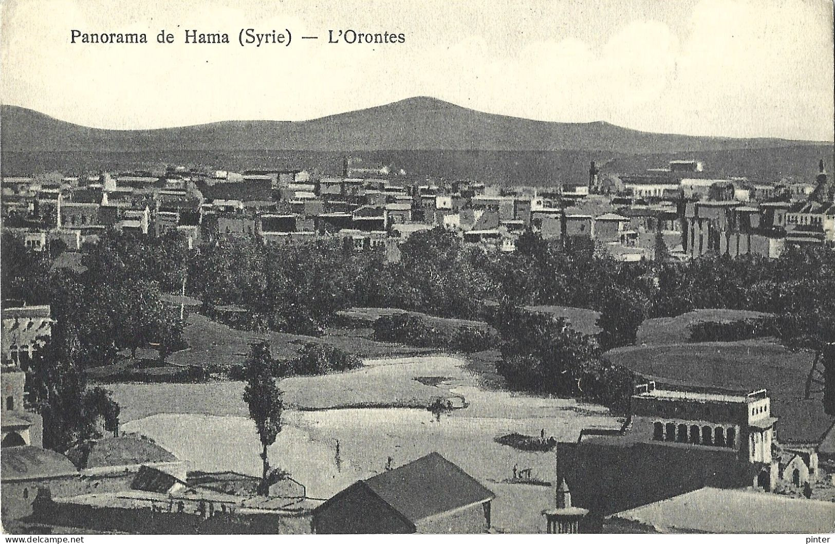 SYRIE - Panorama De Hama - L'Orontes - Syrie