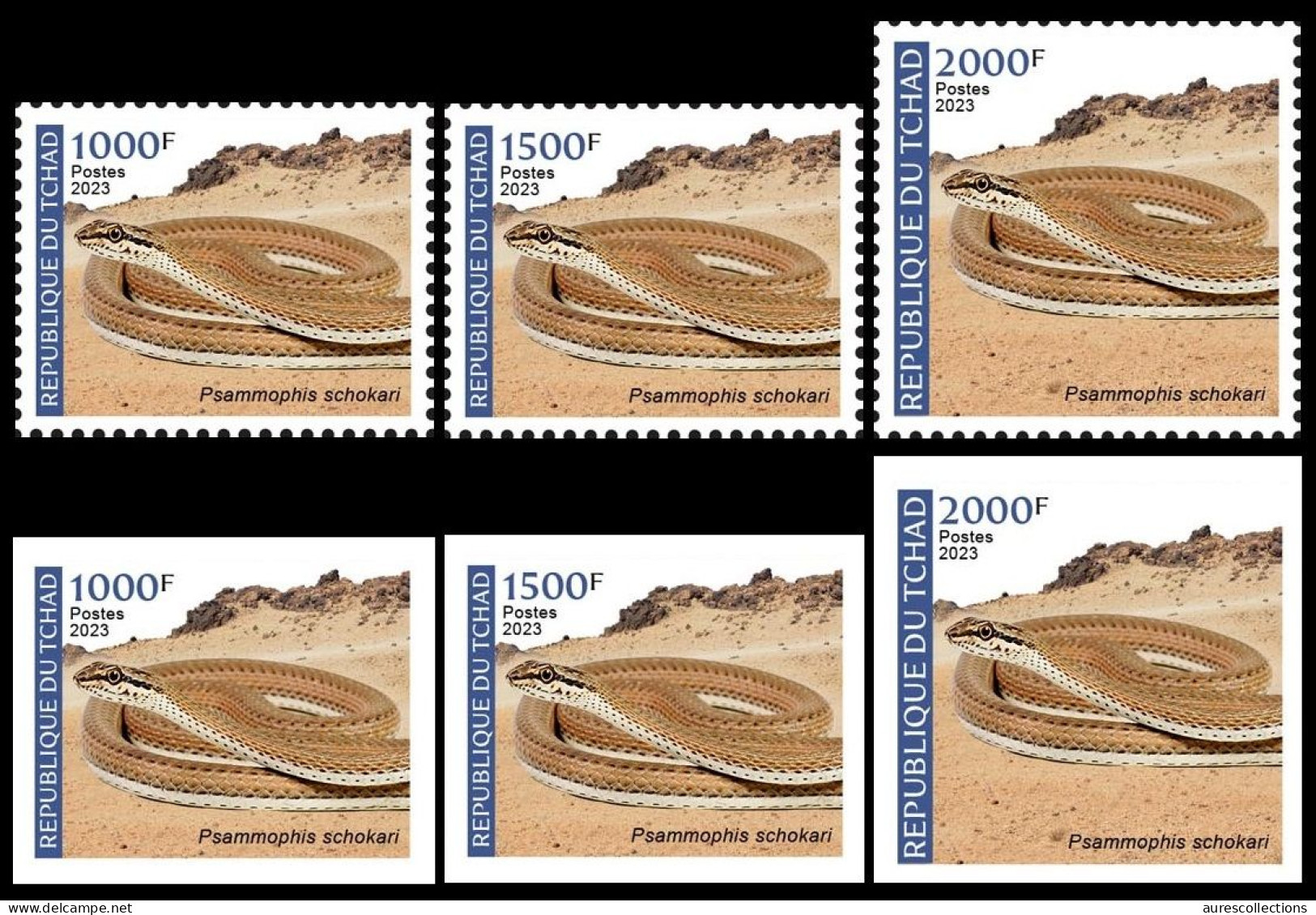 CHAD TCHAD 2023 - SET 2 X 3V 1000F 1500F 2000F - PERF & IMPERF- AMPHIBIANS & REPTILES - SNAKE SNAKES SERPENTS - MNH - Serpents