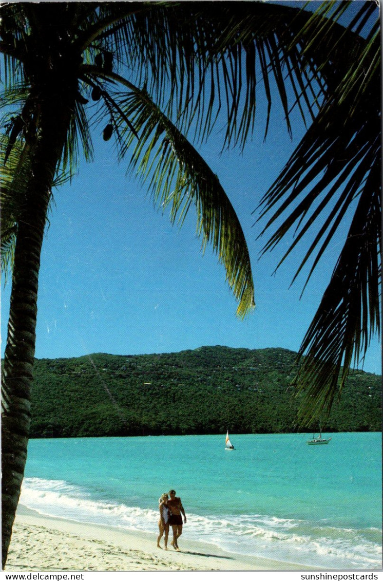 Barbados Beautiful Beach Scene - Barbades