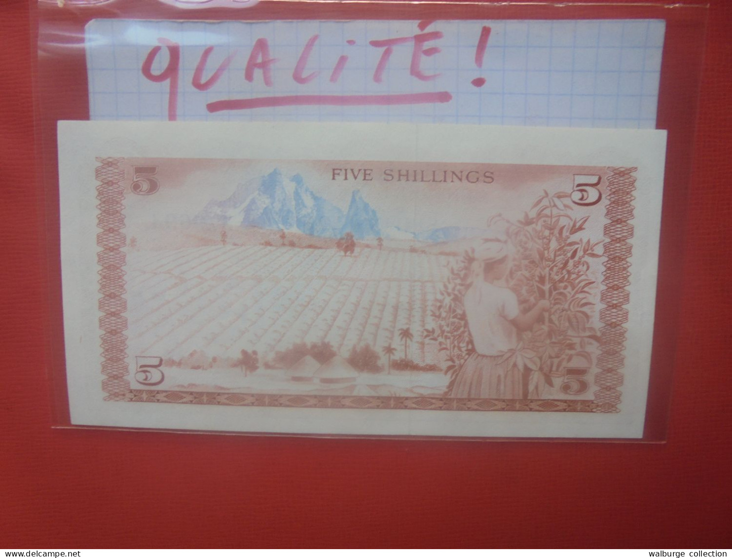 KENYA 5 SHILLINGS 1974 Peu Circuler Belle Qualité - Kenya