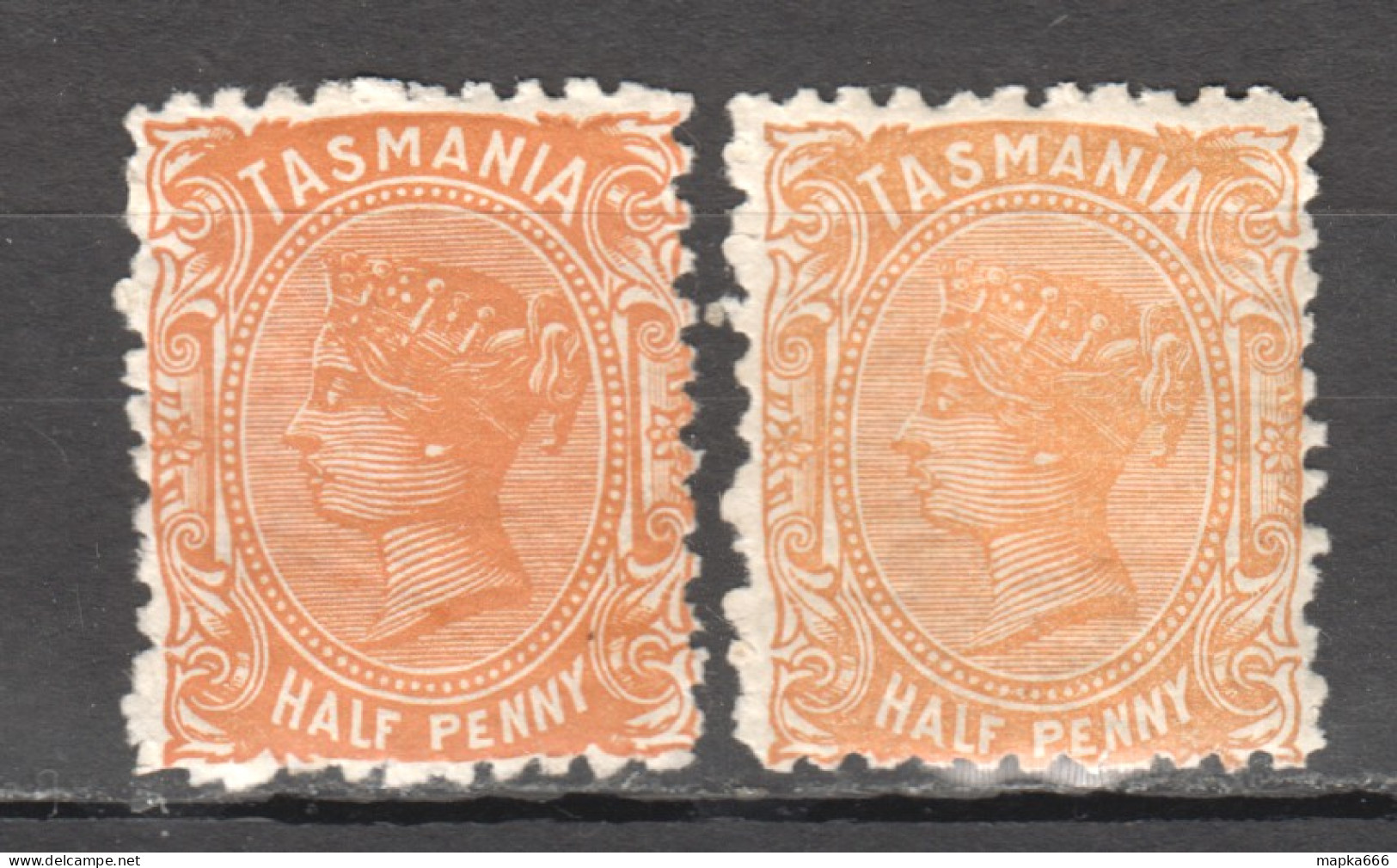 Tas149 1880 Australia Tasmania Half Penny Gibbons Sg #159 2St Lh - Andere & Zonder Classificatie