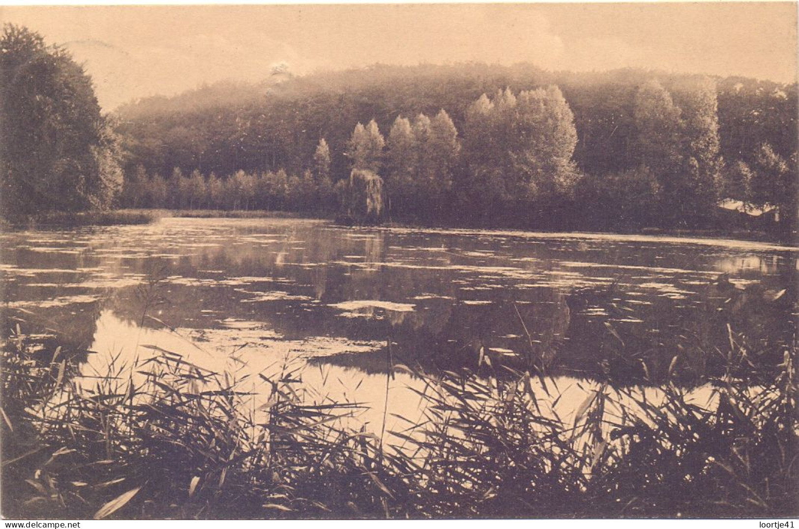 CP - Auderghem Oudergem - Etang De Rouge Cloitre - 1911 - Auderghem - Oudergem