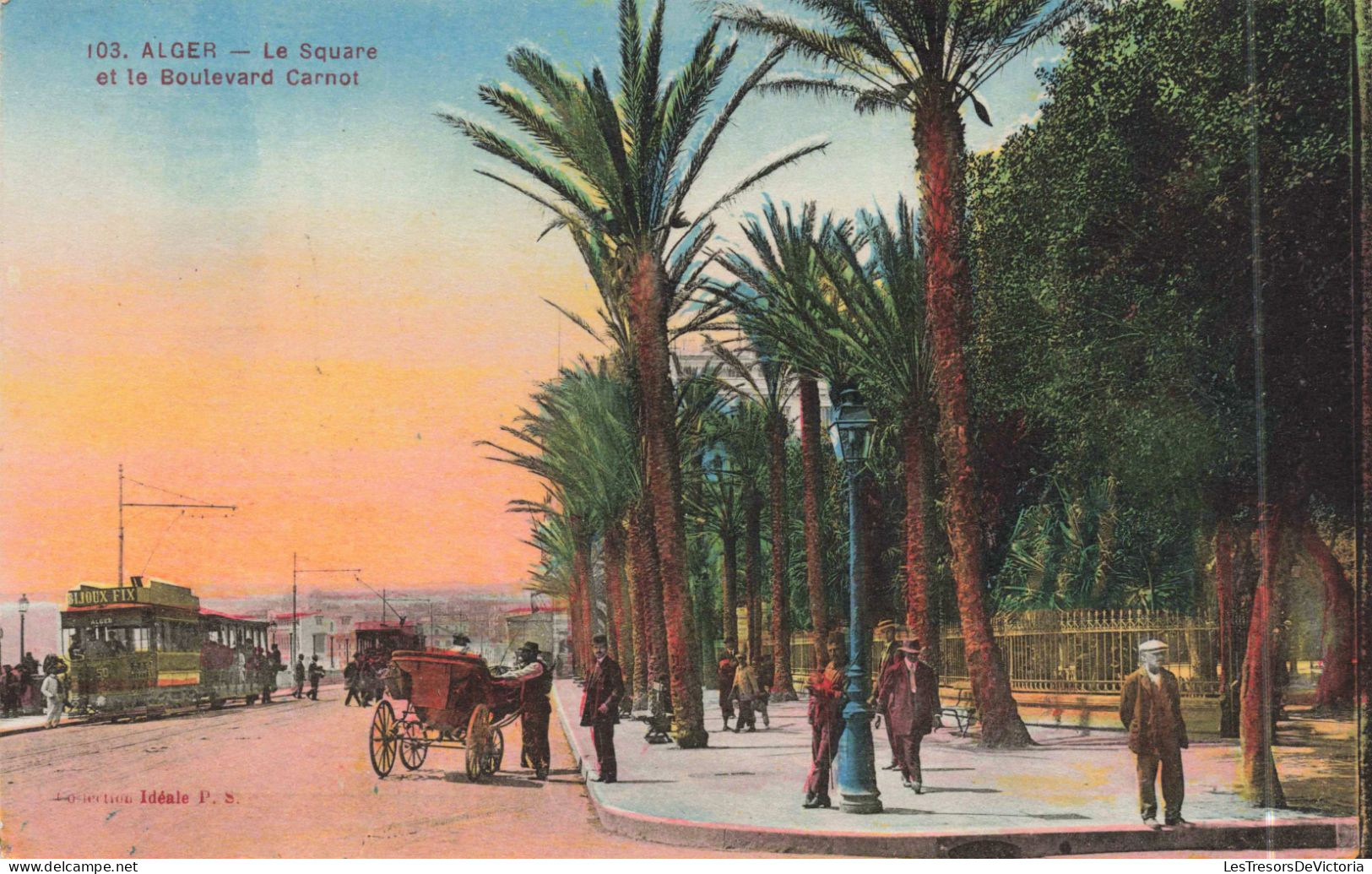 ALGERIE - Alger - Le Square Et Le Boulevard Carnot - Tramway - Promenade - Animé - Colorisé - Carte Postale Ancienne - Algerien
