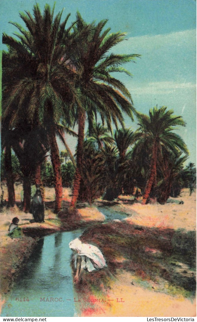 MAROC - La Ségnia - LL - Rivière - Plamiers - Animé - Colorisé - Carte Postale Ancienne - Other & Unclassified