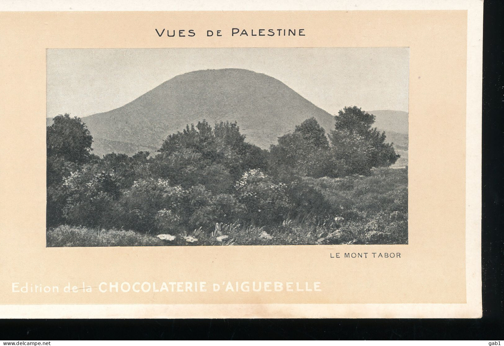 Vues De Palestine ---  Le Mont Tabor - Palestine