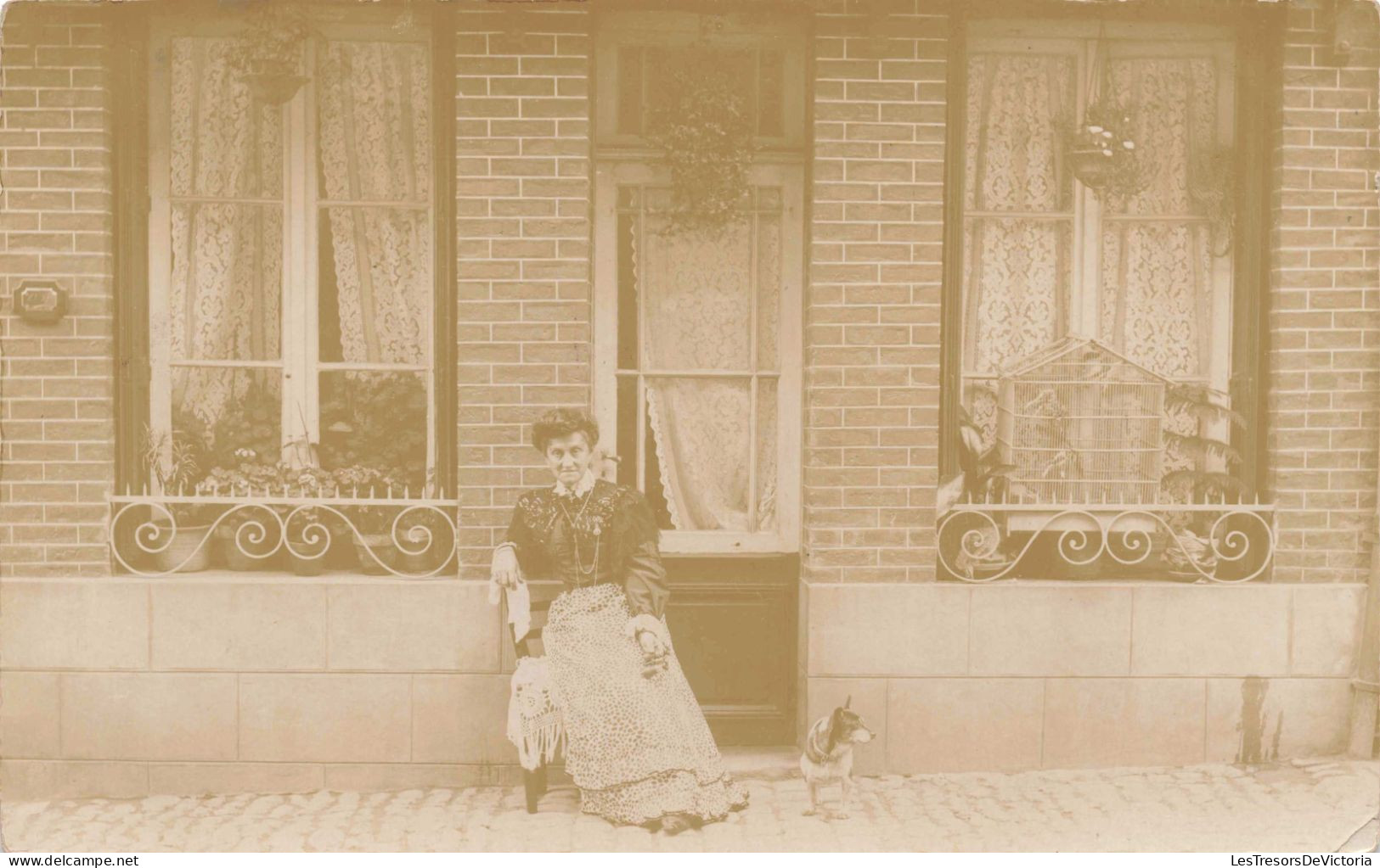 Carte Photo - Femme Posant Devant Sa Maison - Appartement - Chien - Cage D'oiseau - Carte Postale Ancienne - Fotografia