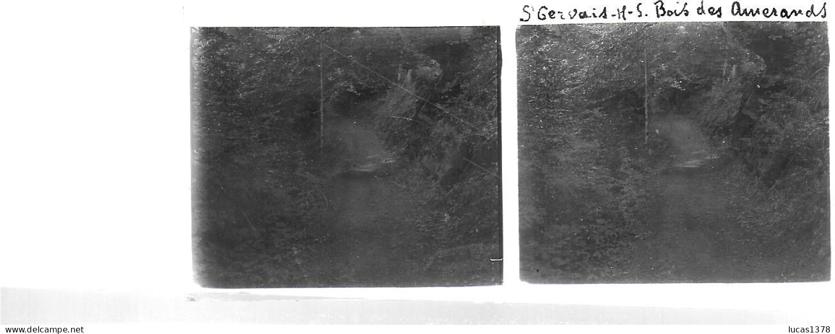 74 / SAINT GERVAIS  / DEBUT 20 EME / PLAQUE DE VERRE PHOTO STEREO / SOUS BOIS DES AMERANDS ? - Plaques De Verre