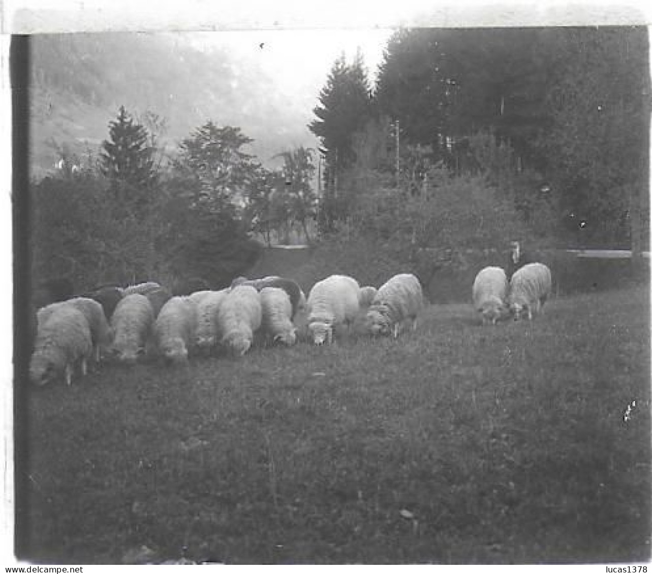 74 / SAINT GERVAIS  / DEBUT 20 EME / PLAQUE DE VERRE PHOTO STEREO / GUIDE ORSET / ROUTE DE MEGEVE - Plaques De Verre