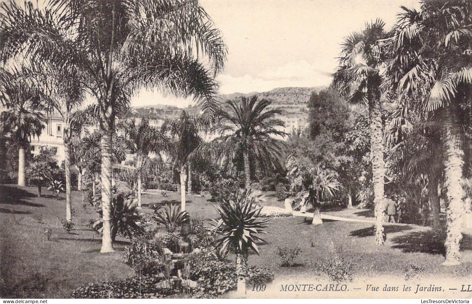 MONACO - Monte-Carlo - Vue Dans Les Jardins - Carte Postale Ancienne - Monte-Carlo