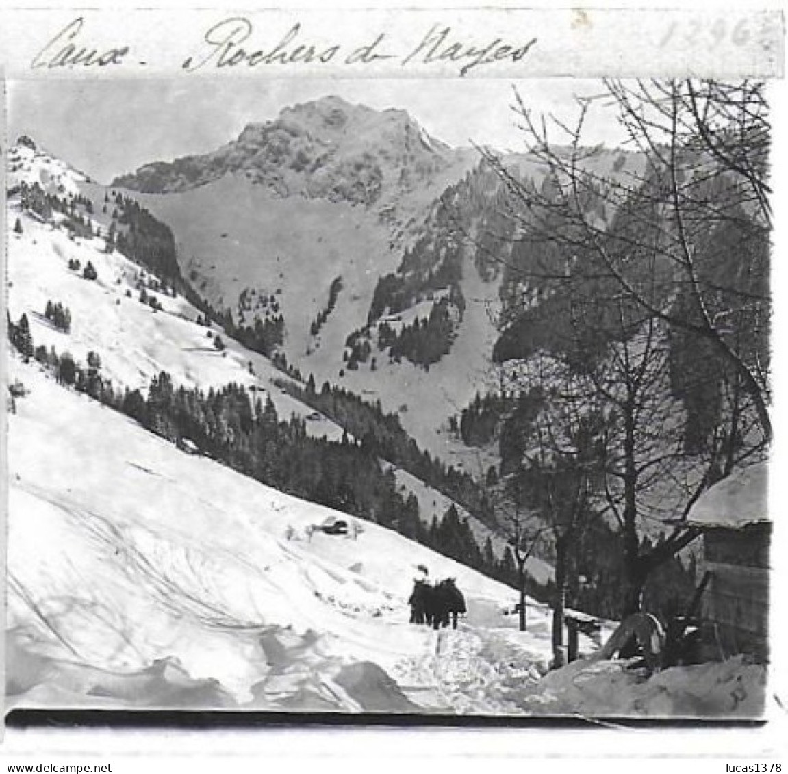 SUISSE / CAUX /  ROCHERS DE NAYES /  DEBUT 20 EME / PLAQUE DE VERRE PHOTO STEREO / - Plaques De Verre