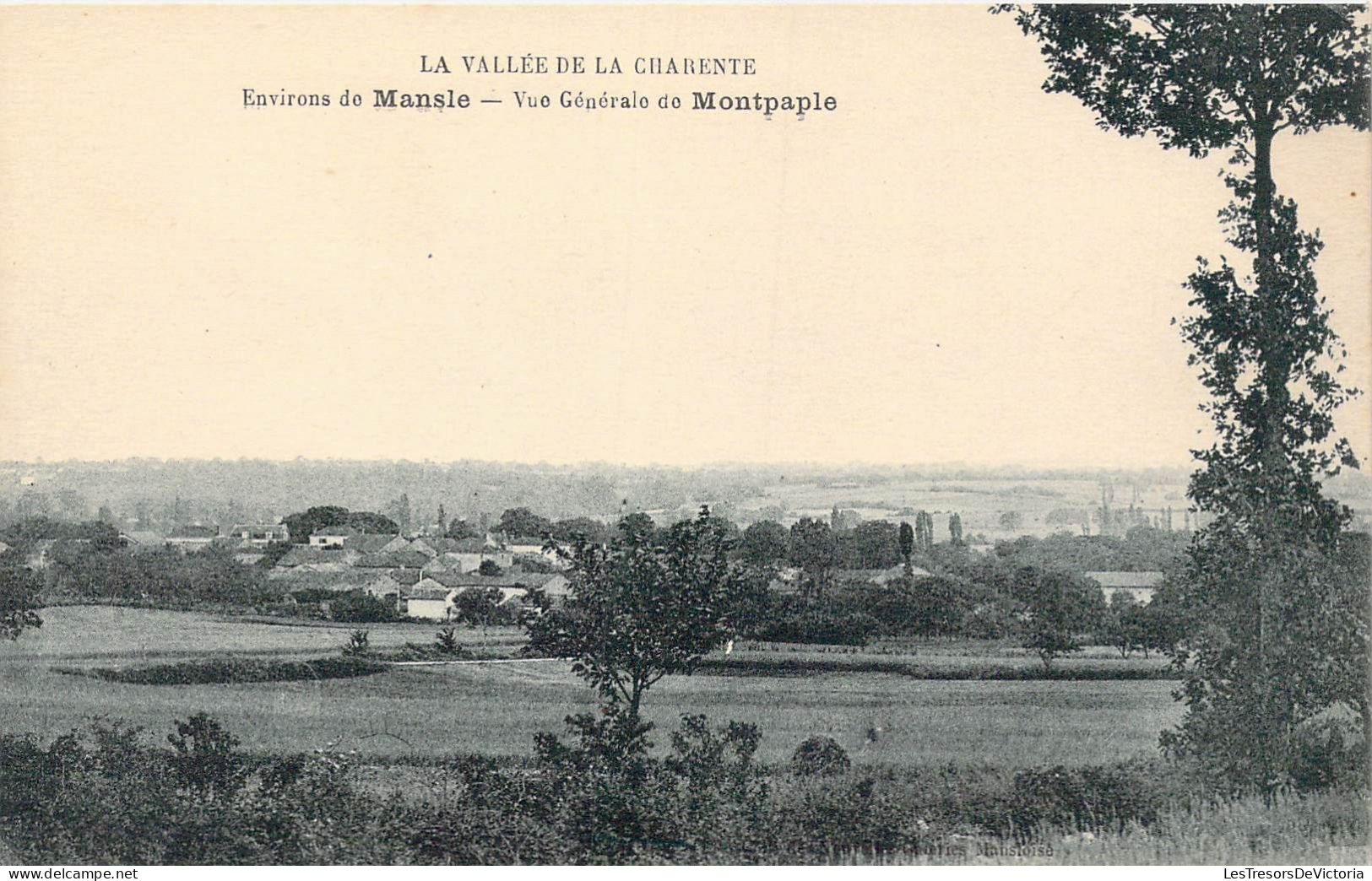 FRANCE - 16 - Mansle - Environs De Mansle - Vue Générale De Montpaple - La Vallée De La.. - Carte Postale Ancienne - Mansle