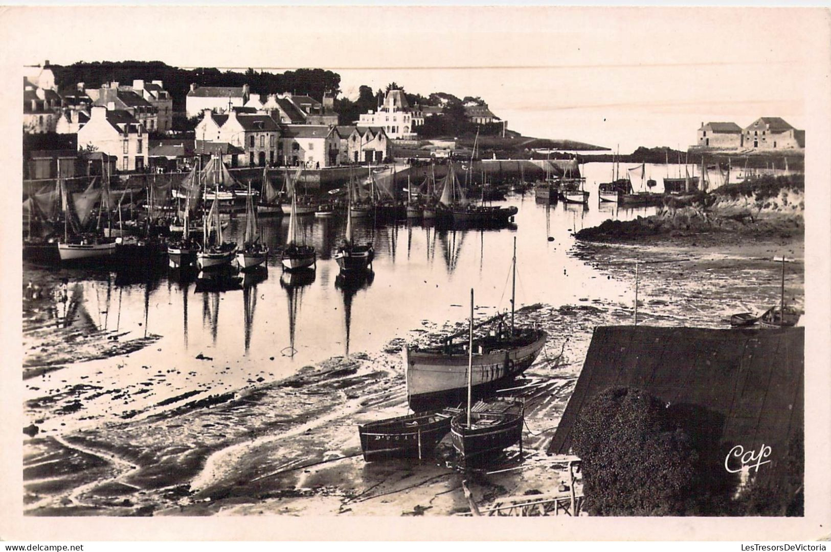 FRANCE - 29 - Tréboul - Vue Générale Du Port - Carte Postale Ancienne - Tréboul