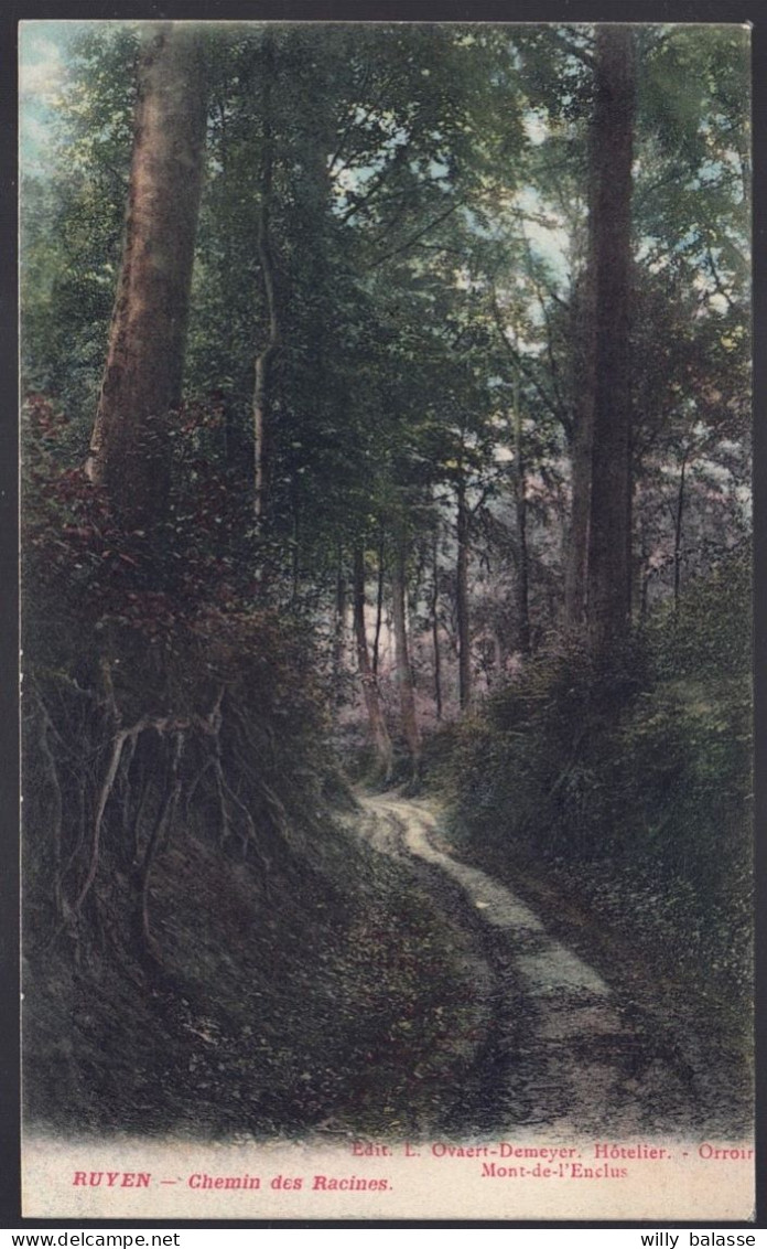 +++ CPA - RUYEN - RUIEN - Chemin Des Racines - 1910  // - Kluisbergen