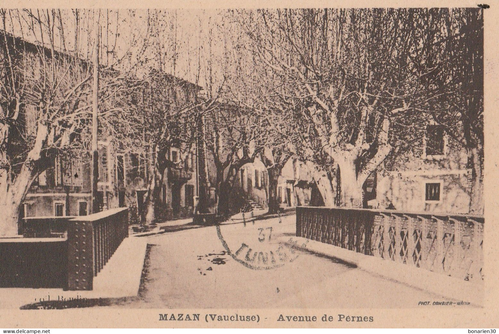 CPA 84  MAZAN AVENUE DE PERNES - Mazan