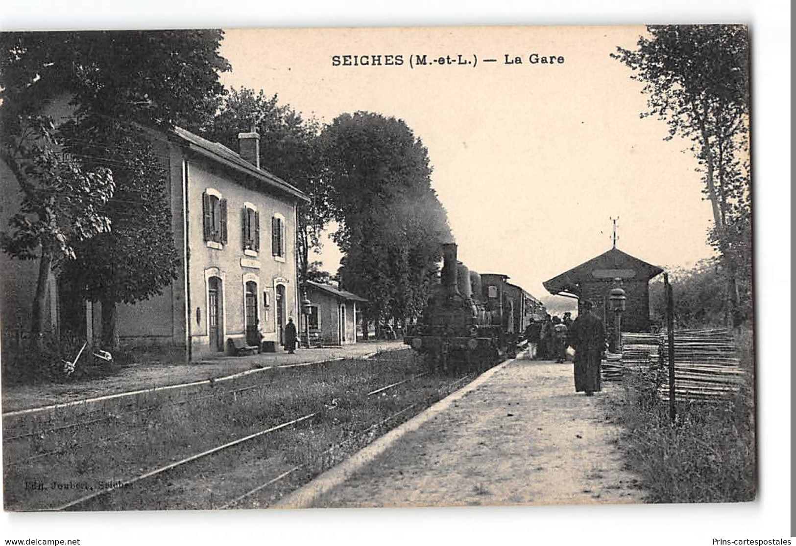 CPA 49 Seiches La Gare Et Le Train - Seiches Sur Le Loir