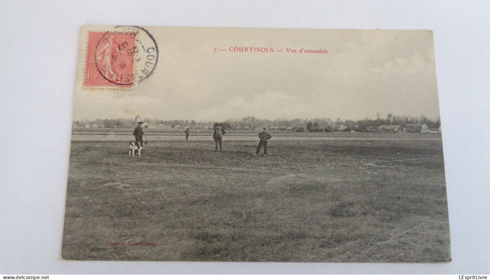 CORTISOLS Vue D'Ensemble Animée Marne 51 France Carte Postale Postcard CPA - Courtisols