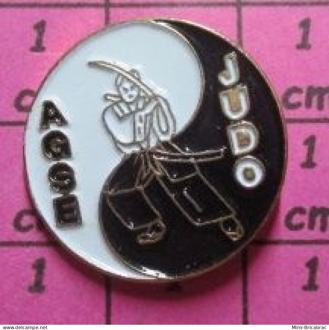 2119 Pin's Pins / Beau Et Rare / SPORTS / AGSE CLUB JUDO - Judo