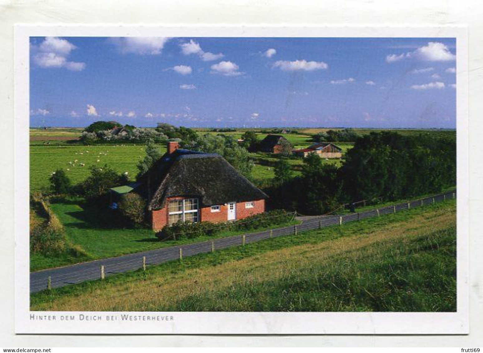 AK 145365 GERMANY - Hinter Dem Deich Bei Westerhever - Nordfriesland