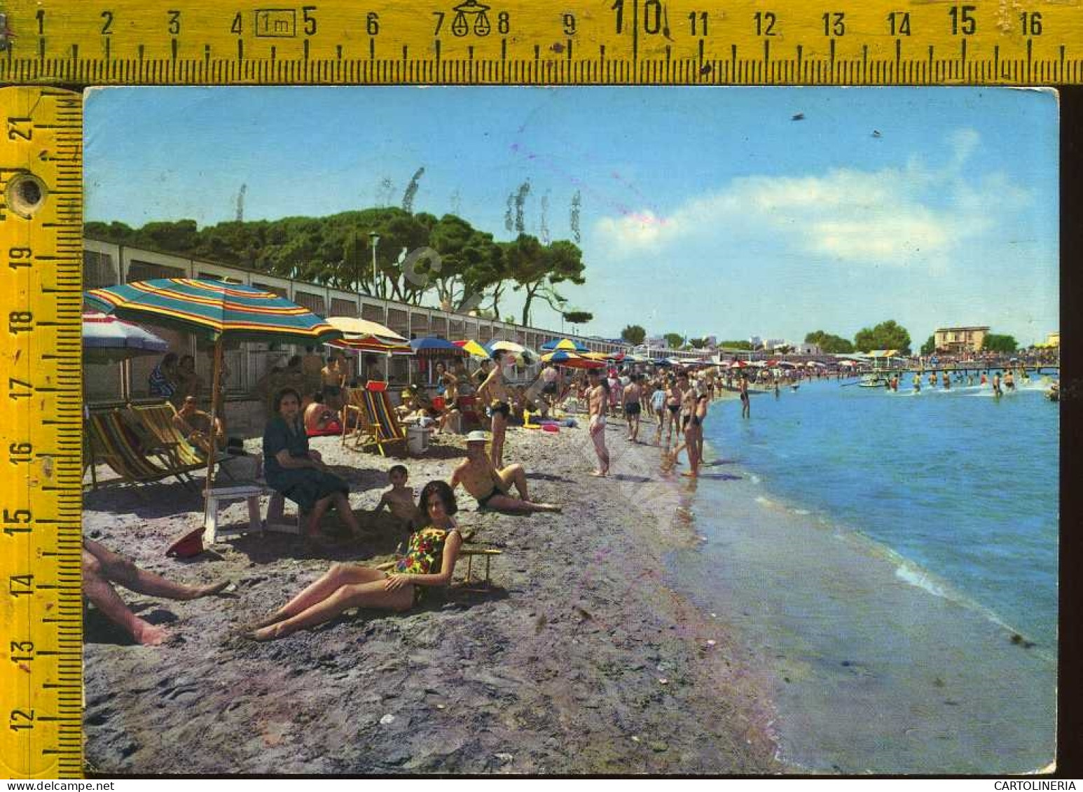 Trani La Spiaggia (spelatura Sul Retro) - Trani