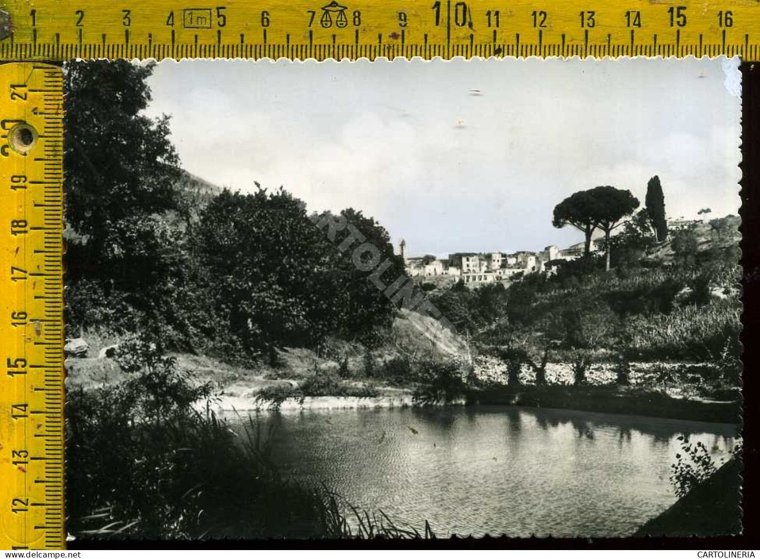 Barletta Spinazzola Lago Mandoja - Barletta