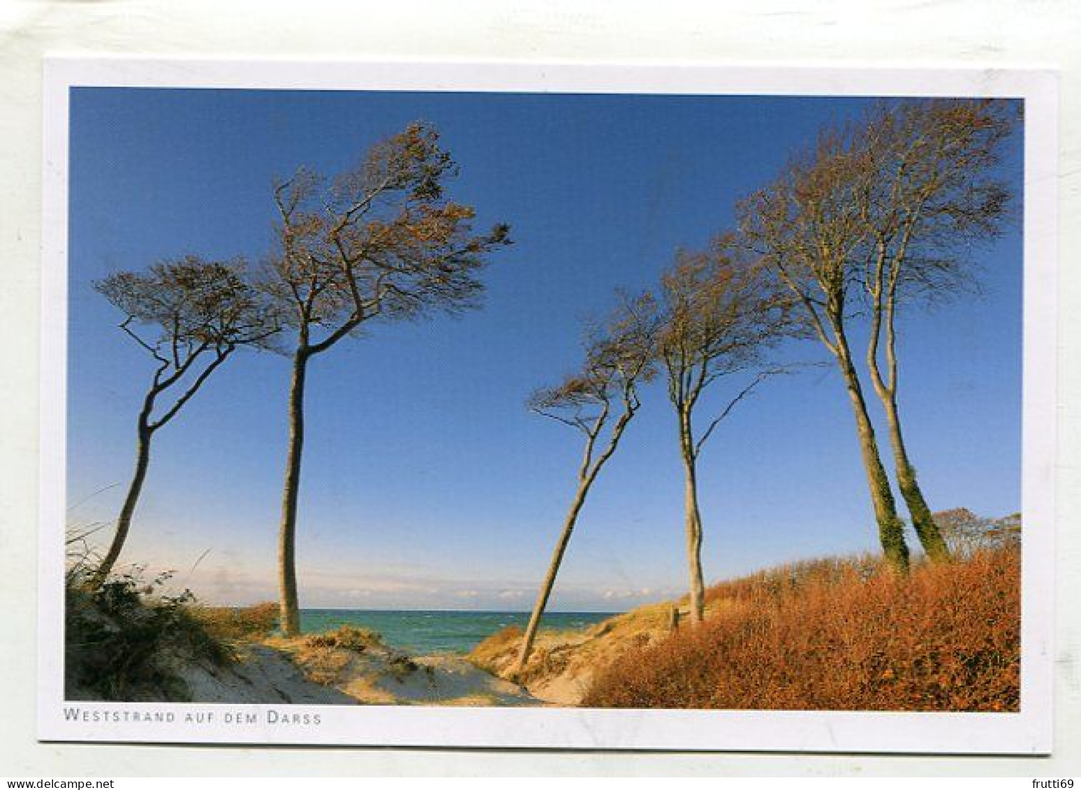 AK 145383 GERMANY - Weststrand Auf Dem Darss - Fischland/Darss