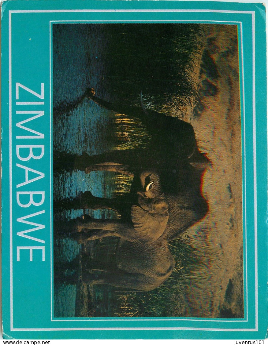 CPSM Zimbabwe-Elephants Drinking-Beau Timbre       L2311 - Zimbabwe