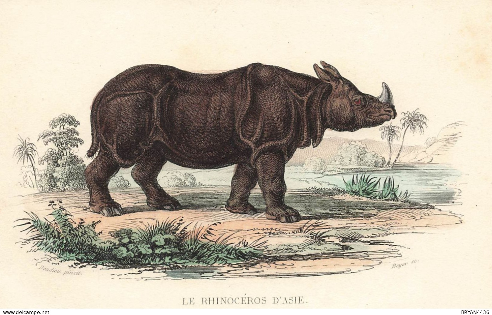 LE RHINOCEROS D' ASIE Par BUFFON  - édition FURNE à PARIS - (9x14cm) - TRES BON ETAT - Neushoorn