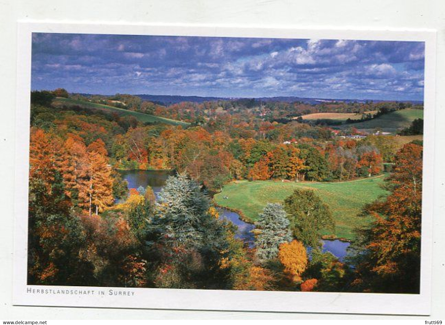 AK 145463 ENGLAND - Herbstlandschaft In Surrey - Surrey