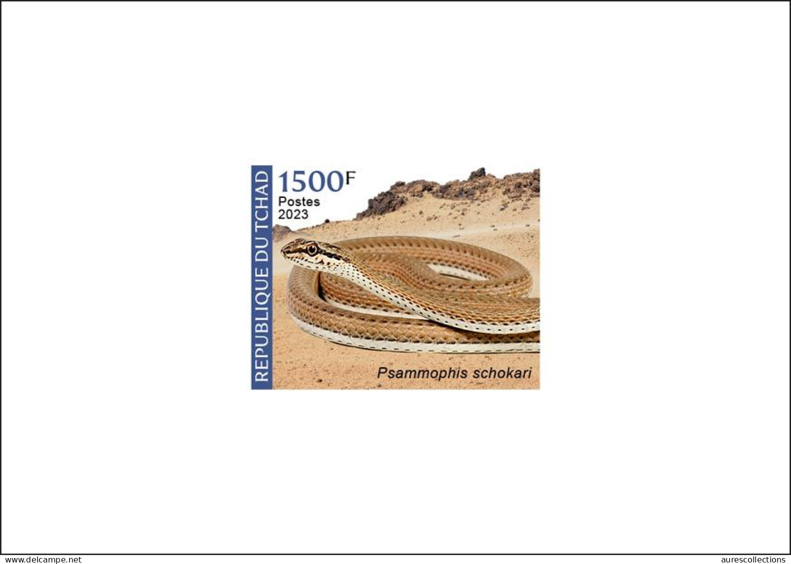 CHAD TCHAD 2023 - DELUXE PROOF - AMPHIBIANS & REPTILES - REPTILE - SNAKES SNAKE SERPENTS SERPENT - MNH - Serpents