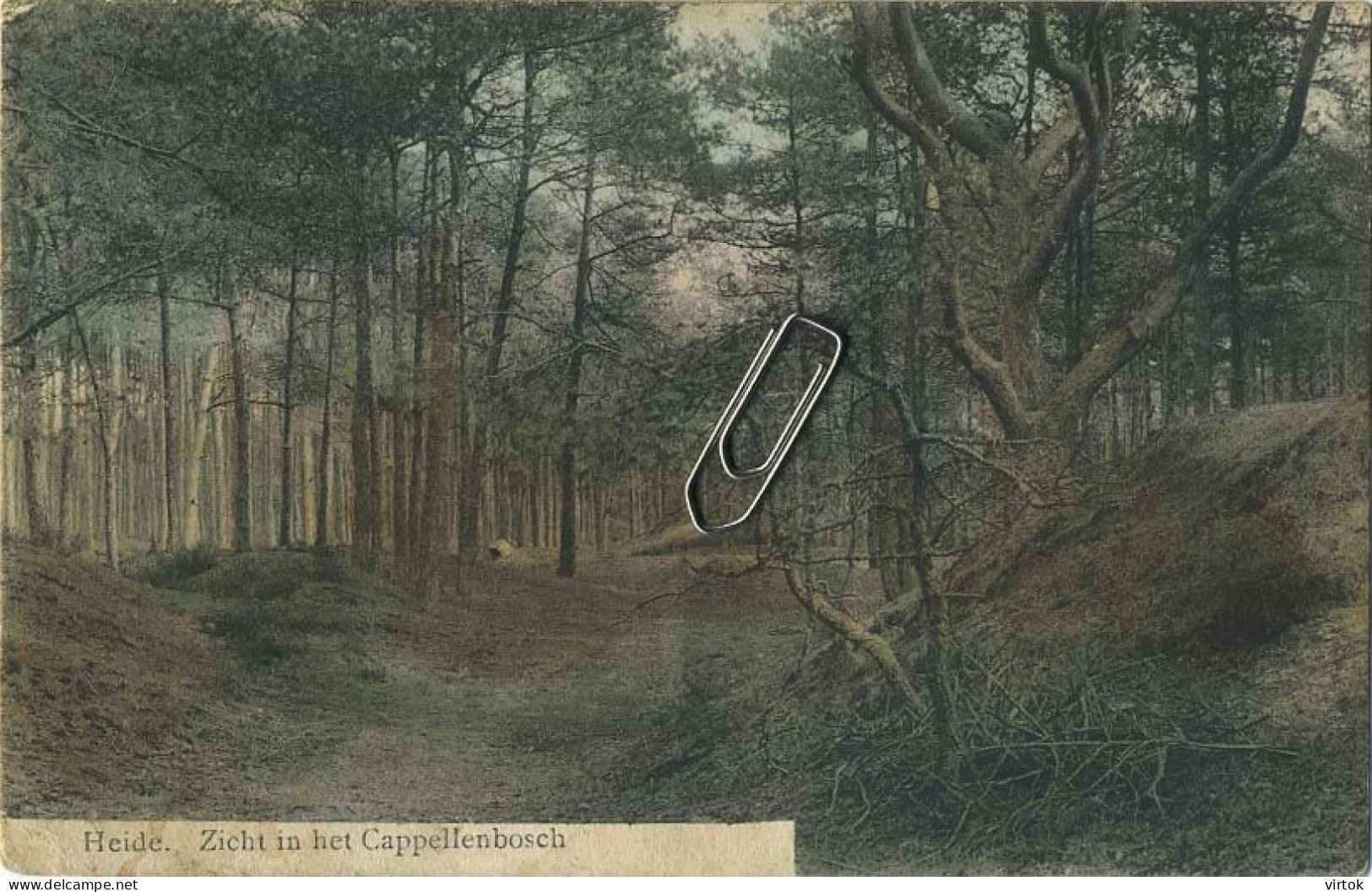 HEIDE :  Zicht In Het Cappellenbosch    (  Geschreven 1914 Met Zegel ) - Kalmthout