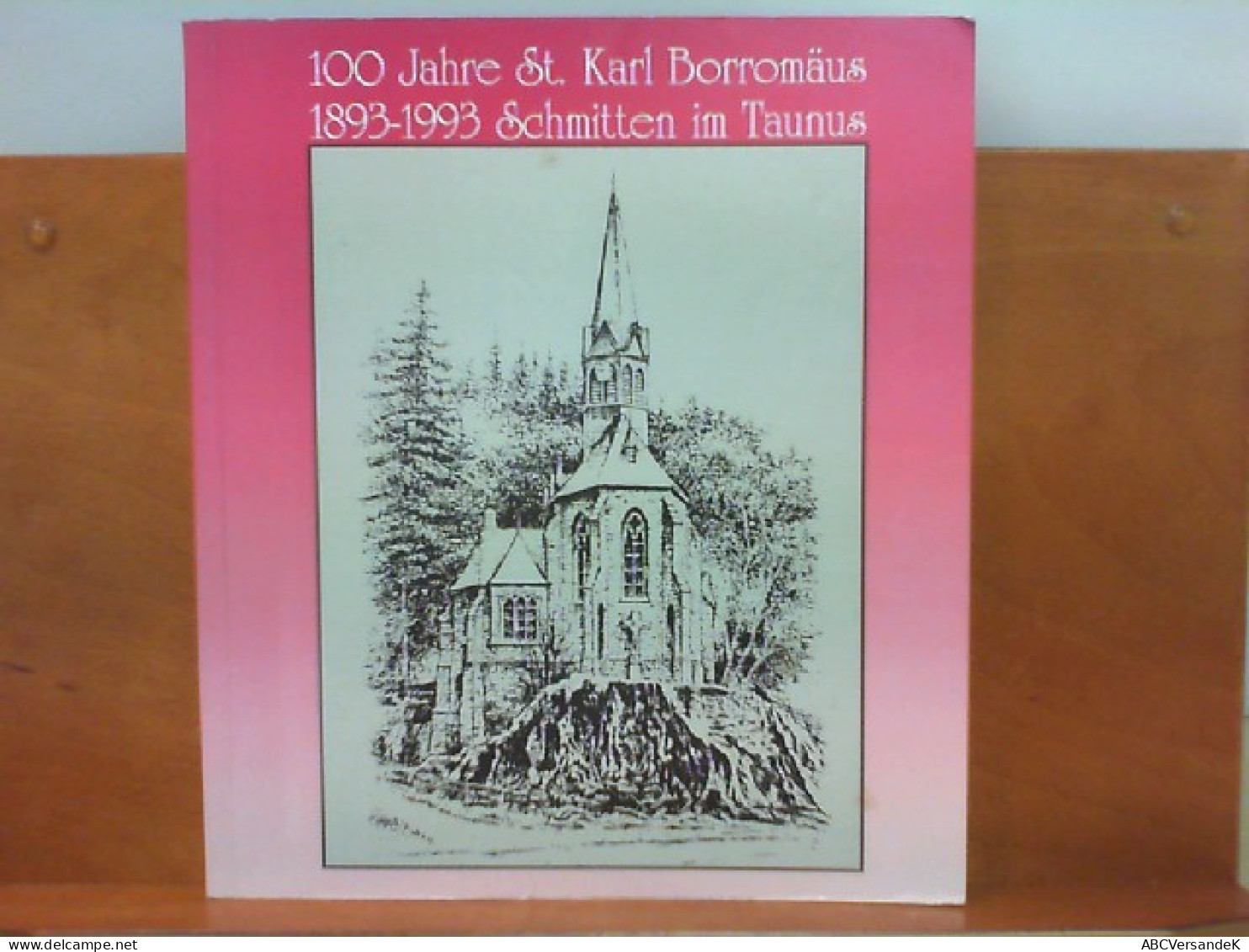 100 Jahre St. Karl Borromäus, Schmitten Im Taunus 1893 - 1993 - Hessen