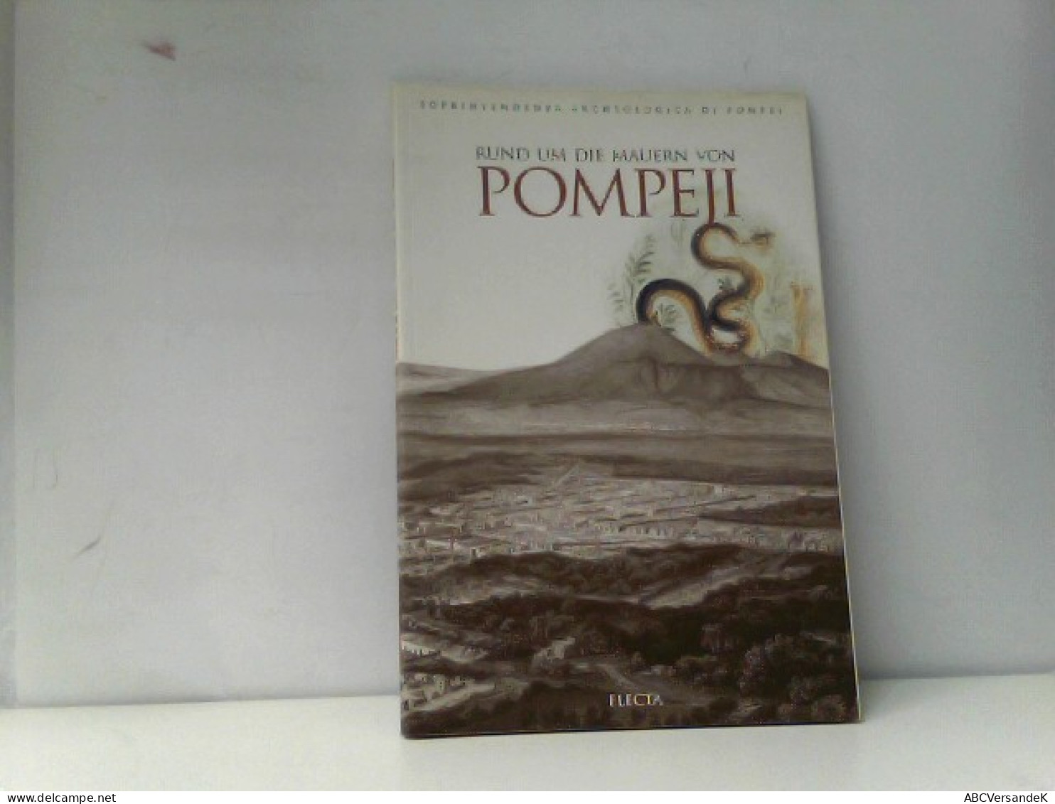 Rund Um Die Mauern Von Pompeji. Die Antike Stadt In Ihrer Natürlichen Umgebung - Arqueología
