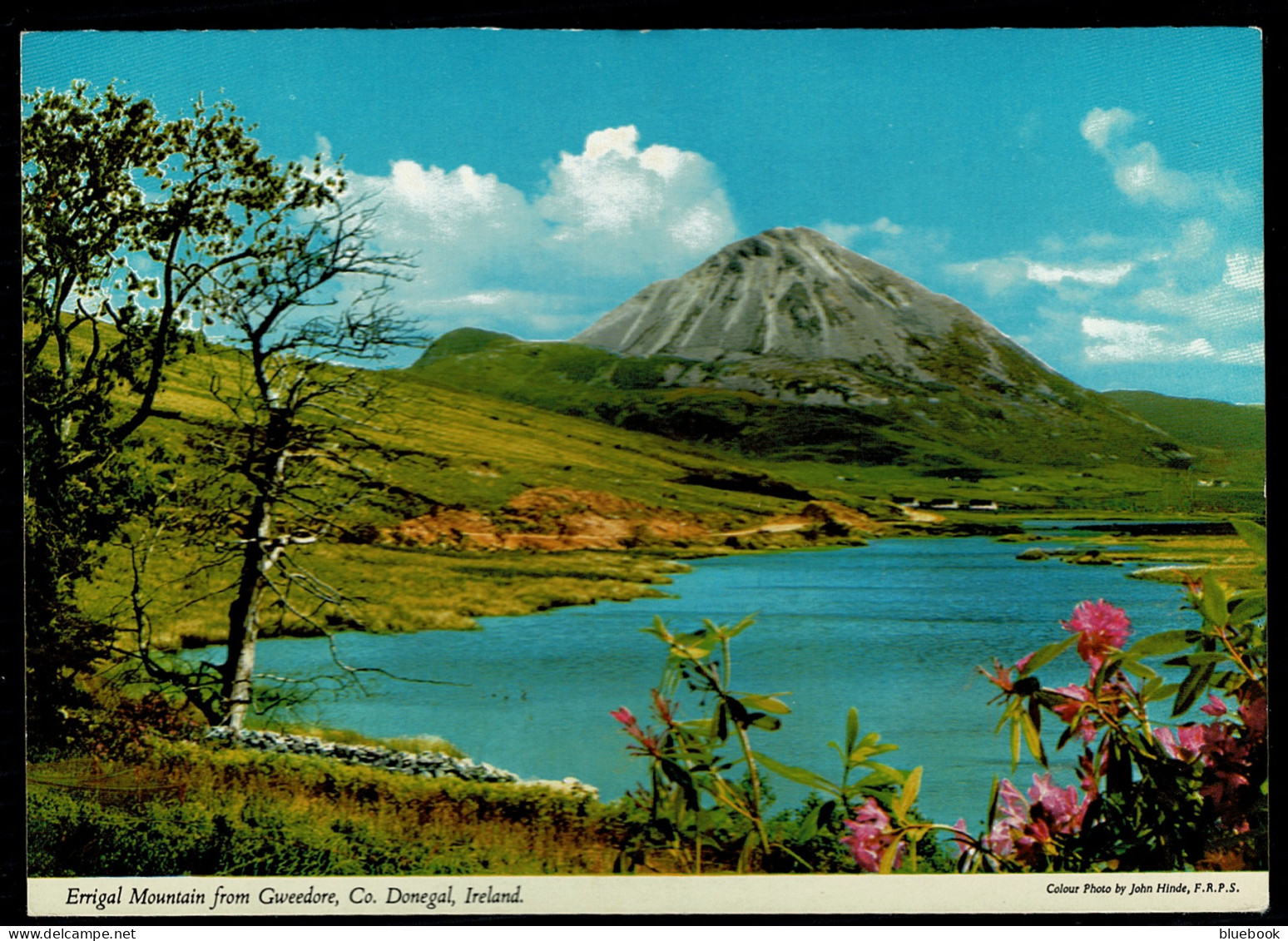 Ref 1621 - John Hinde Postcard - Errigal Mountain From Gweedore - County Donegal Ireland - Donegal