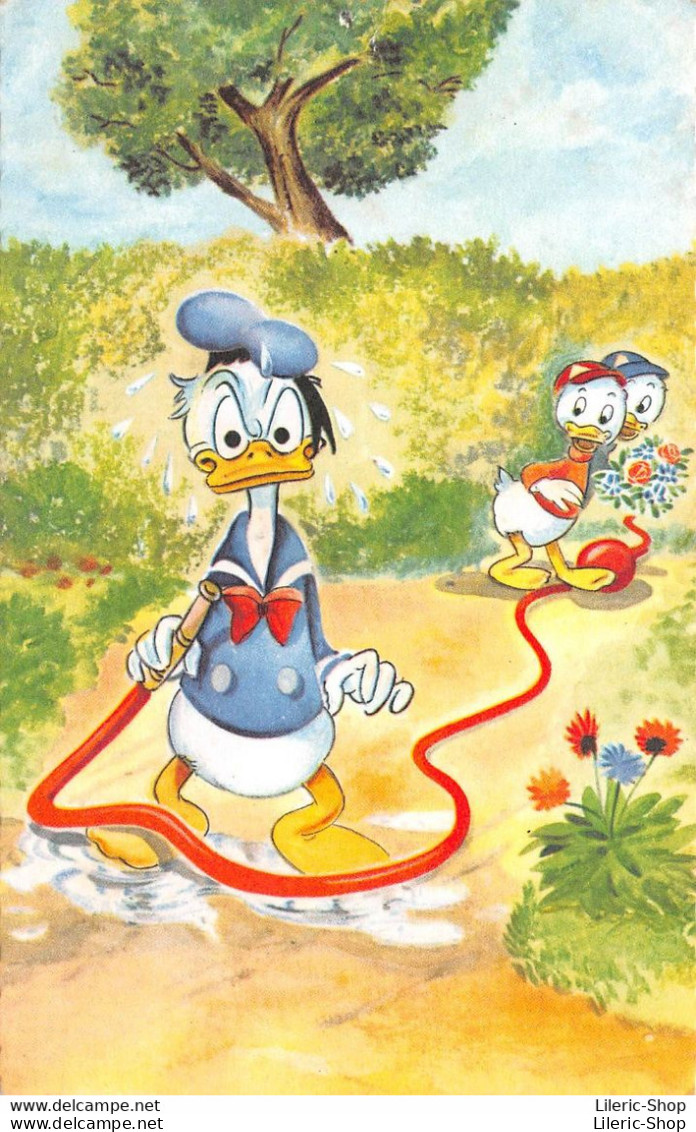Disney > Donald And His Nephews "stepping On The Water Hose" - Altri & Non Classificati
