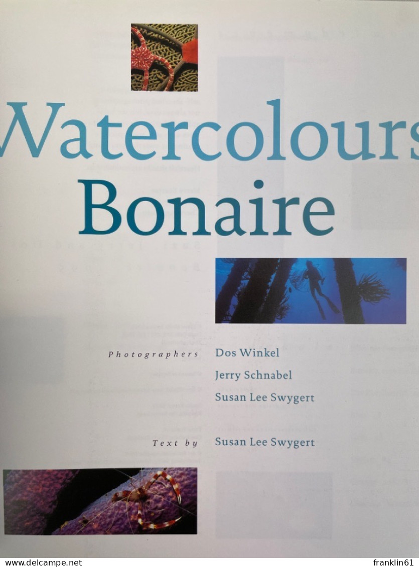 Watercolours Bonaire. - Fotografie